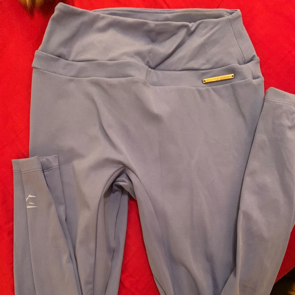 Whitney Simmons x Gymshark Leggings